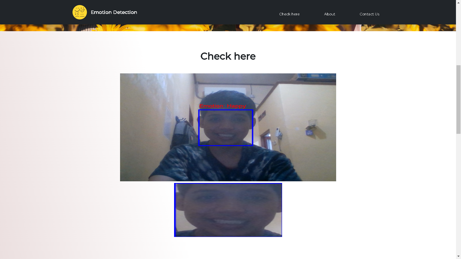 Emotion Detection Website (TFLite on the web)